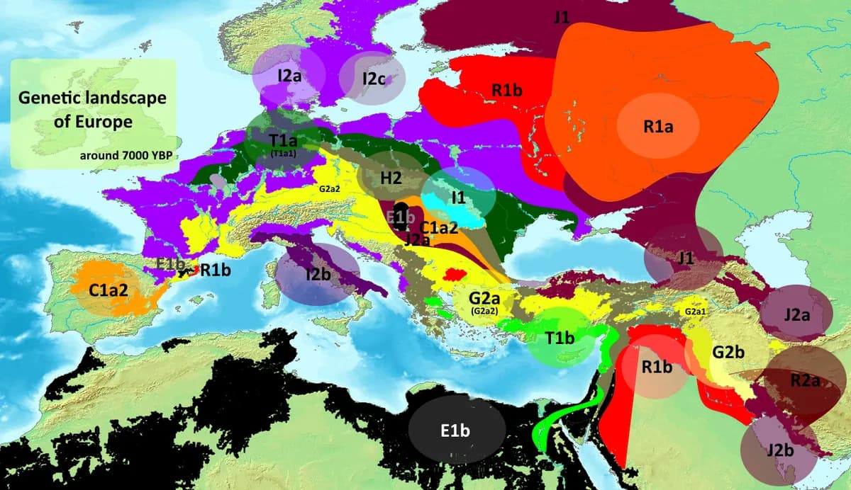 Pre-Pottery Neolithic DNA From Kurdistan Reveals Two Migration Waves That Shaped Anatolia